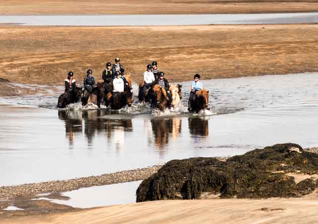 Tipps zum Reiten in Island | Was macht einen Ausritt zu einem schönen Erlebnis?